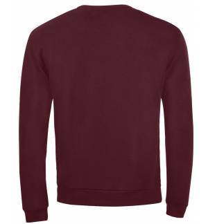 Sol's Spider 01168 Unisex Sweater Brushed Fleece 260 gr. size S-XL