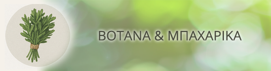 cms-banner1